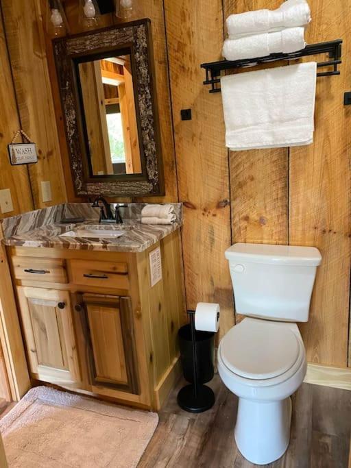 The Llaguna Lodge - New Cabin, Sleeps 10, Fire Pit, Hot Tub, In Blue Ridge , Ga Exterior foto